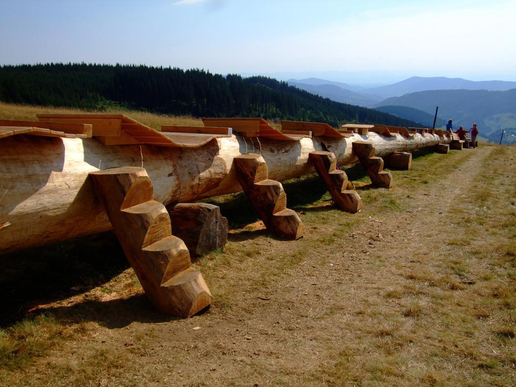 Bergseele Privat- & Retreathotel Schwarzwald Тодтнауберґ Екстер'єр фото