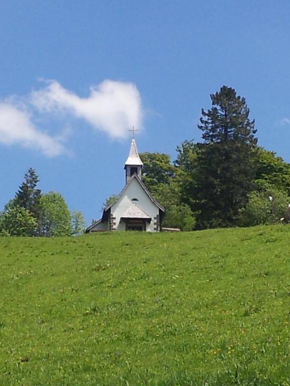 Bergseele Privat- & Retreathotel Schwarzwald Тодтнауберґ Екстер'єр фото