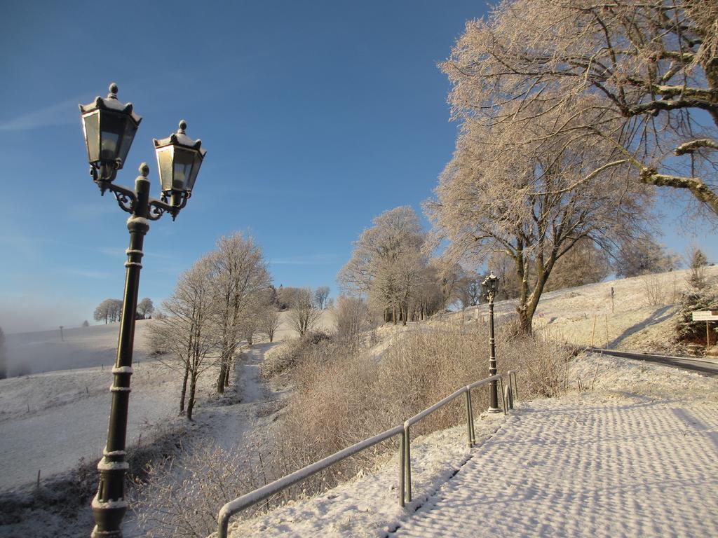 Bergseele Privat- & Retreathotel Schwarzwald Тодтнауберґ Екстер'єр фото
