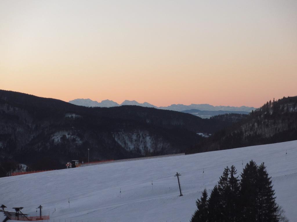 Bergseele Privat- & Retreathotel Schwarzwald Тодтнауберґ Екстер'єр фото