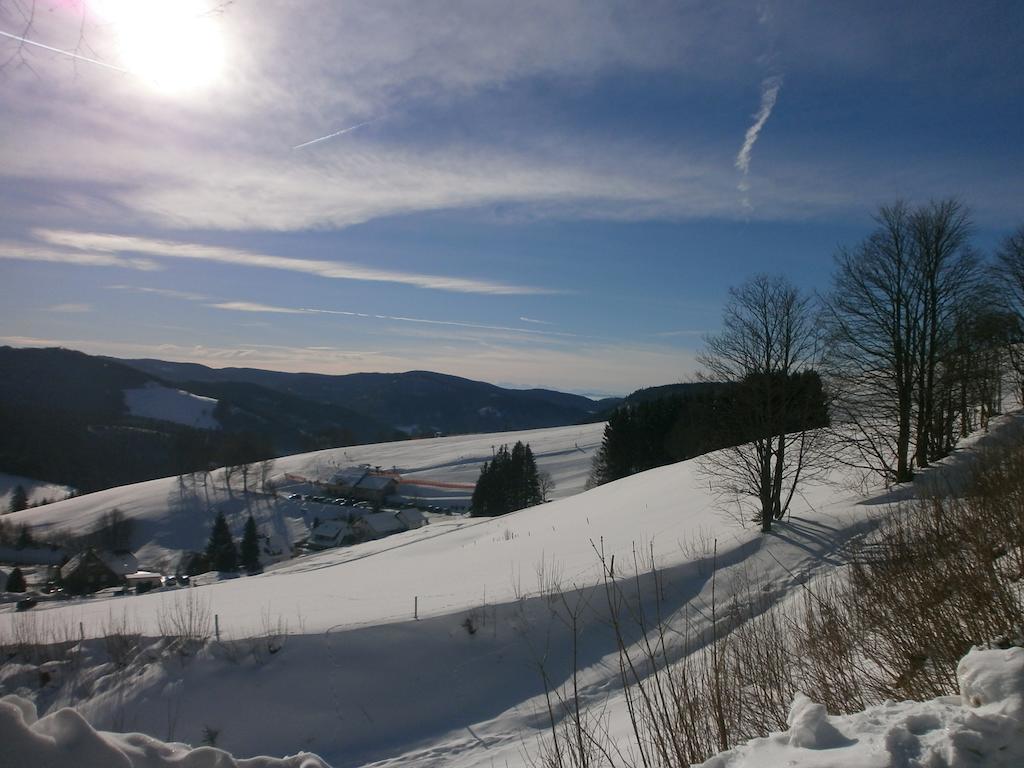 Bergseele Privat- & Retreathotel Schwarzwald Тодтнауберґ Екстер'єр фото