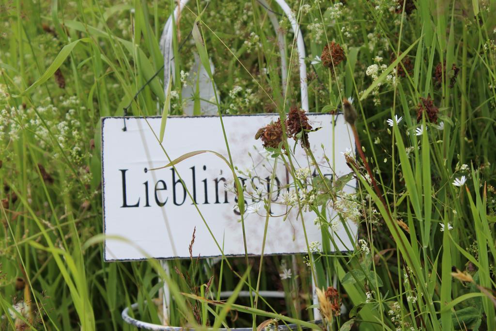 Bergseele Privat- & Retreathotel Schwarzwald Тодтнауберґ Екстер'єр фото